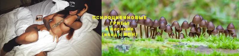 Галлюциногенные грибы Magic Shrooms  Алапаевск 